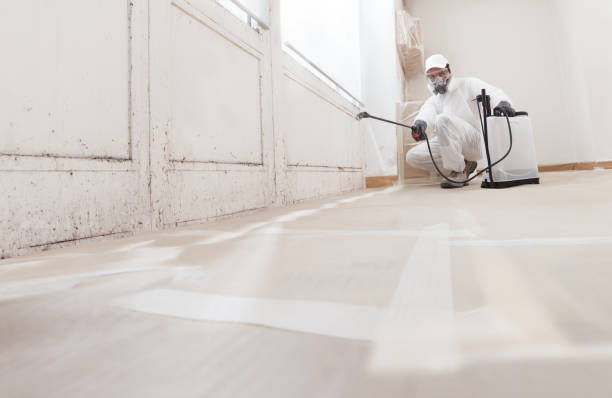 24/7 Emergency Attic Mold Removal experts in Winchester, IL